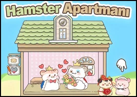 Hamster Apartmanı - 