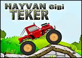 Hayvan Gibi Teker - 