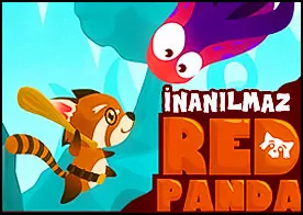 İnanılmaz Kırmızı Panda - 