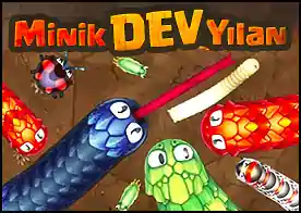 Minik Dev Yılan - 