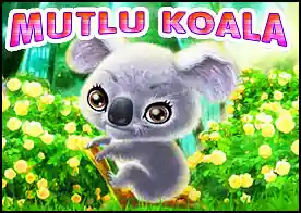 Mutlu Koala - 