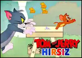Tom ve Jerry Hırsız