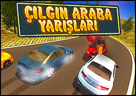 Çılgın Araba Yarışları