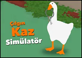 Çılgın Kaz Simülatör