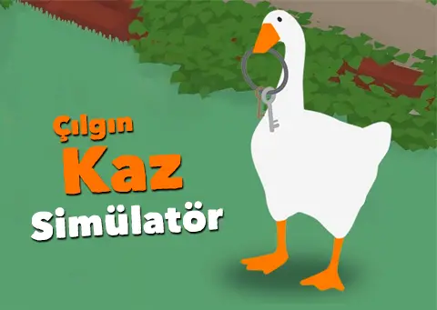 Çılgın Kaz Simülatör