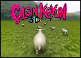 Çılgın Koyun 3D