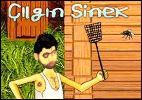 Çılgın Sinek