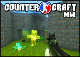 Counter Craft MW2