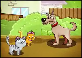 Eve Geri Dönüş