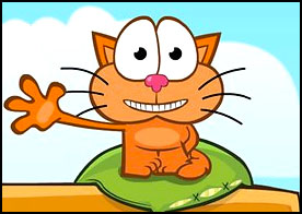Gezgin Kedi 3