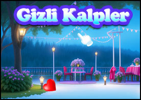 Gizli Kalpler