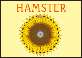 Hamster