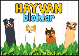 Hayvan Bloklar