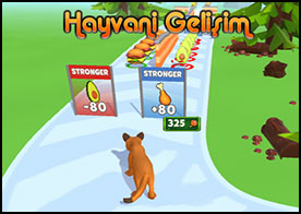Hayvani Gelişim