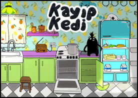 Kayıp Kedi 2