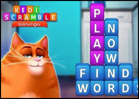 Kedi Scramble