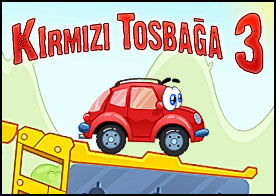 Kırmızı Tosbağa 3