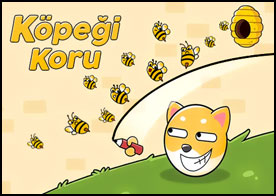 Köpeği Koru