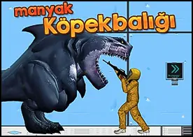 Manyak Köpekbalığı