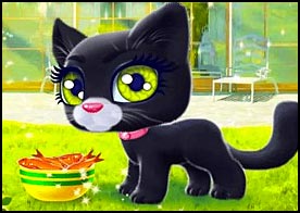 Mutlu Kedi
