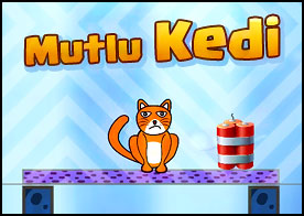 Mutlu Kedi 2