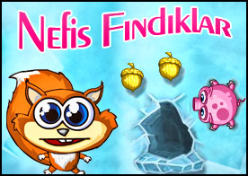 Nefis Fındıklar