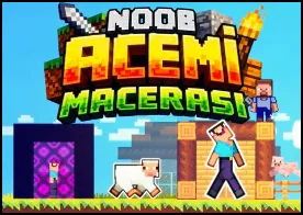 Noob Acemi Macerası