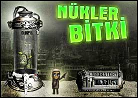 Nükleer Bitki