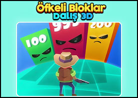 Öfkeli Bloklar Dalış 3D