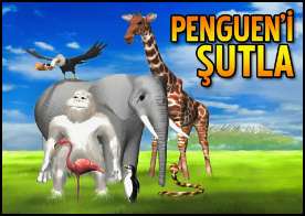 Pengueni Şutla