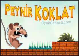 Peynir Koklat
