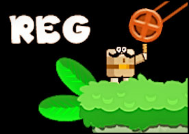REG