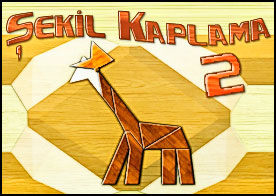 Şekil Kaplama 2
