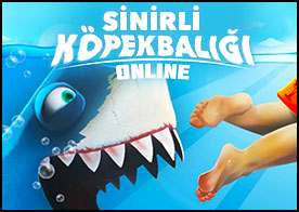Sinirli Köpekbalığı