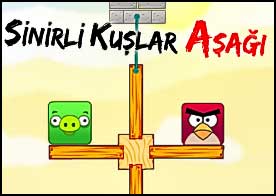 Sinirli Kuşlar Aşağı