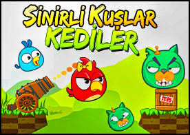Sinirli Kuşlar ve Kediler