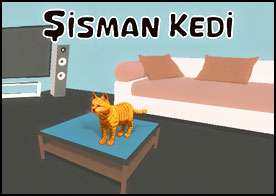 Şişman Kedi
