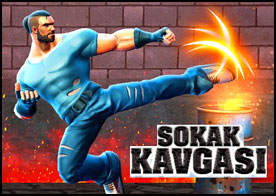 Sokak Kavgası 3
