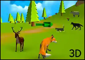 Tilki Simülatörü 3D