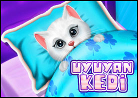 Uyuyan Kedi