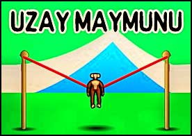 Uzay Maymunu