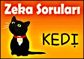 Zeka Soruları
