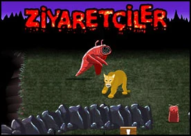 Ziyaretçiler